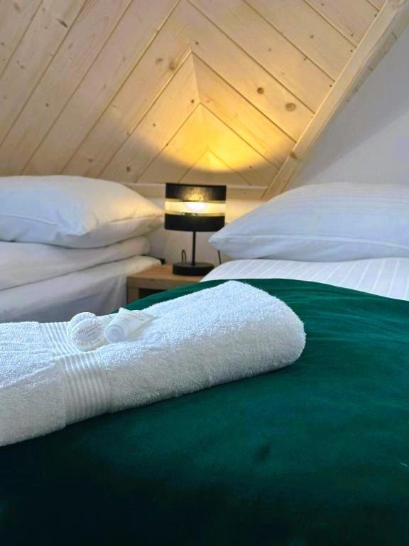 Apartamenty Gorskie Widoki Poronin Exterior foto